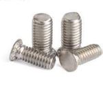 Stainless Steel Clinch Stud