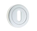 Standard Keyway Escutcheon