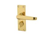 Victorian Straight Lever on Plate Privacy Set | Polished Brass