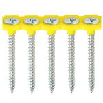 Collated Drywall Screws Fine | TIMco