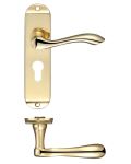 Arundel Lever Euro Lock on Backplate | Polished Brass