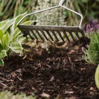 Westland Decorative Mini Bark 70 Litre