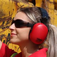 Timco Standard Safety Glasses Smoke