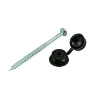 Corrugated Sheet Fixings Black Pack Of 50