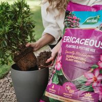 Westland Ericaceous Planting & Potting Mix 50Ltr