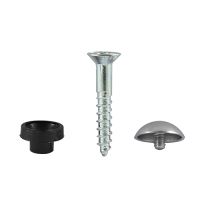 Mirror Hanging Screw