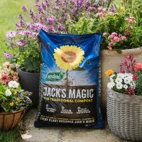 Westland Jack's Magic All Purpose Compost 50Ltr