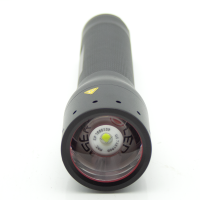 Led Lenser 500901 P14 LED Torch