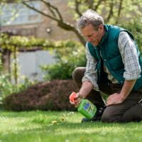 Resolva Lawn WeedKiller Extra Ready To Use