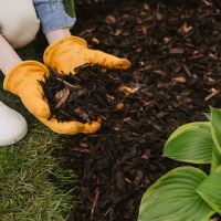 Westland Decorative Mini Bark 70 Litre