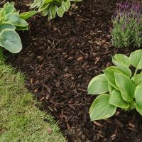 Westland Decorative Mini Bark 70 Litre