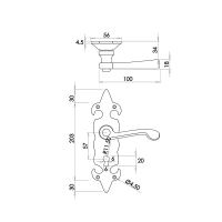 Antique Fleur De Lys Lever on Plate | Bathroom