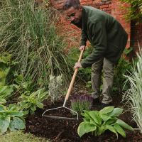 Westland Landscape Bark 100 Litre
