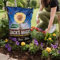 Westland Jack's Magic All Purpose Compost 50Ltr